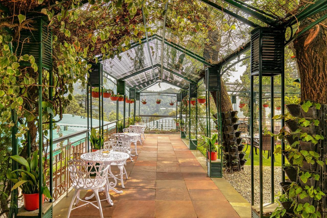 Shervani Hilltop Resort Nainital Eksteriør billede