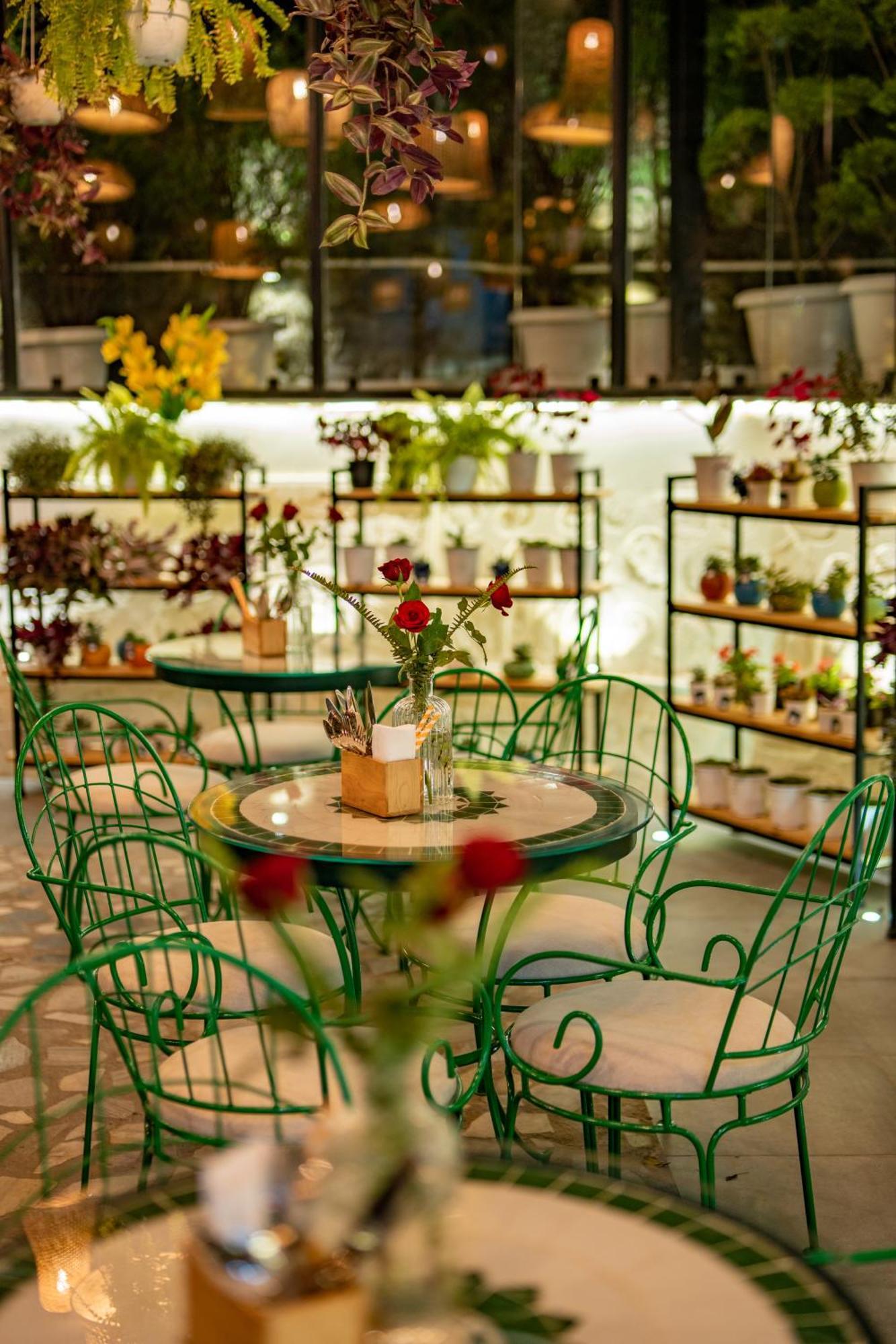 Shervani Hilltop Resort Nainital Eksteriør billede