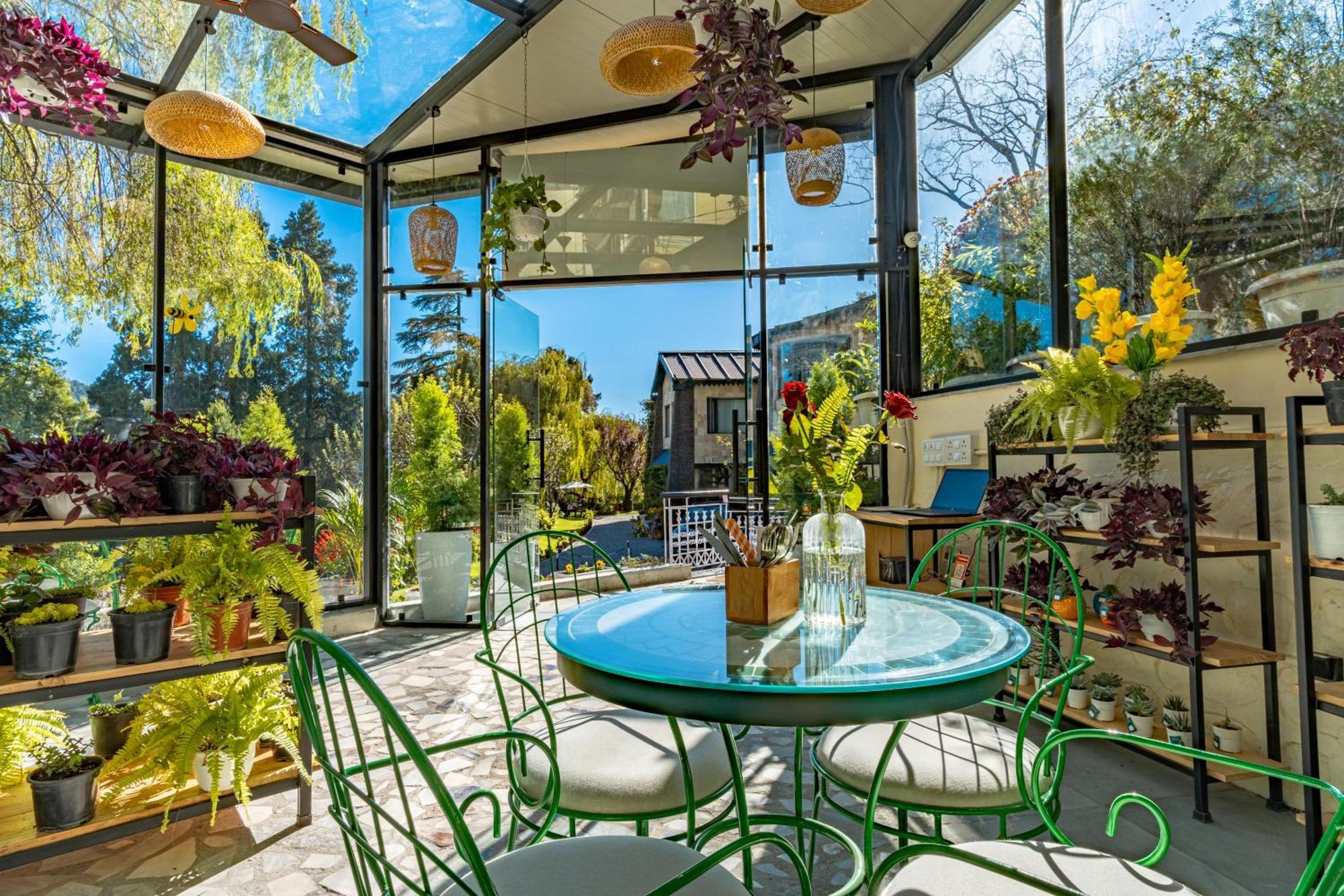 Shervani Hilltop Resort Nainital Eksteriør billede