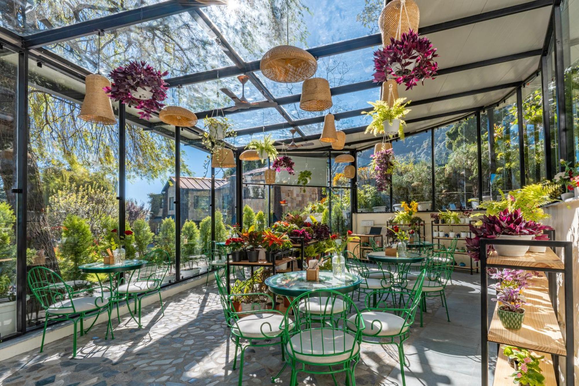 Shervani Hilltop Resort Nainital Eksteriør billede