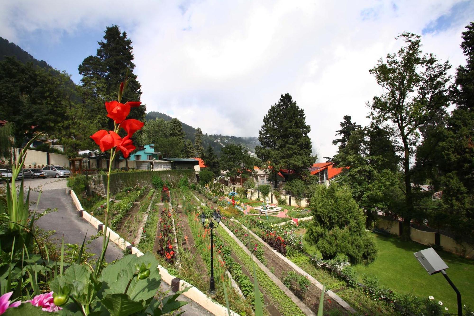 Shervani Hilltop Resort Nainital Eksteriør billede